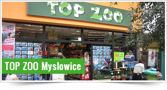 Top Zoo - Myslowice
